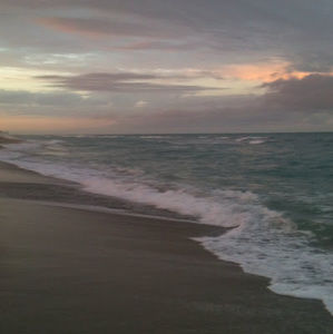 Meet your Posher, Quinn